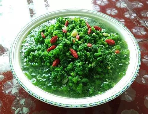 菜農種植無需噴農藥的蔬菜,不僅栽培簡單、而且效益高