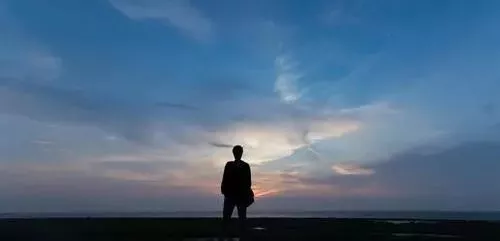 雇工難、成本高，想種甜瓜怎么辦？