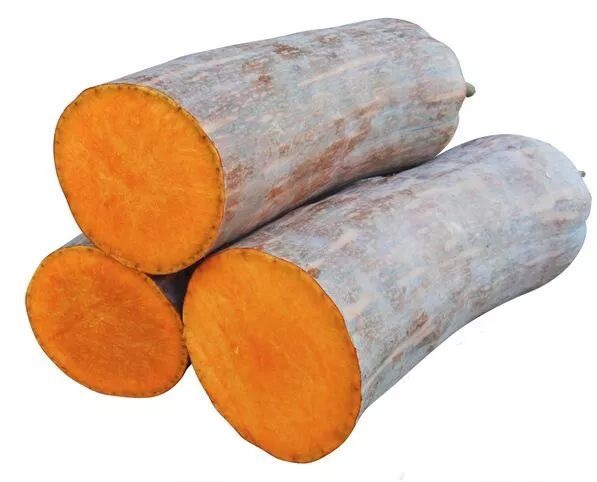 生吃都好吃南瓜新品種，沒有大肚子，肉質更密致，農戶試種下