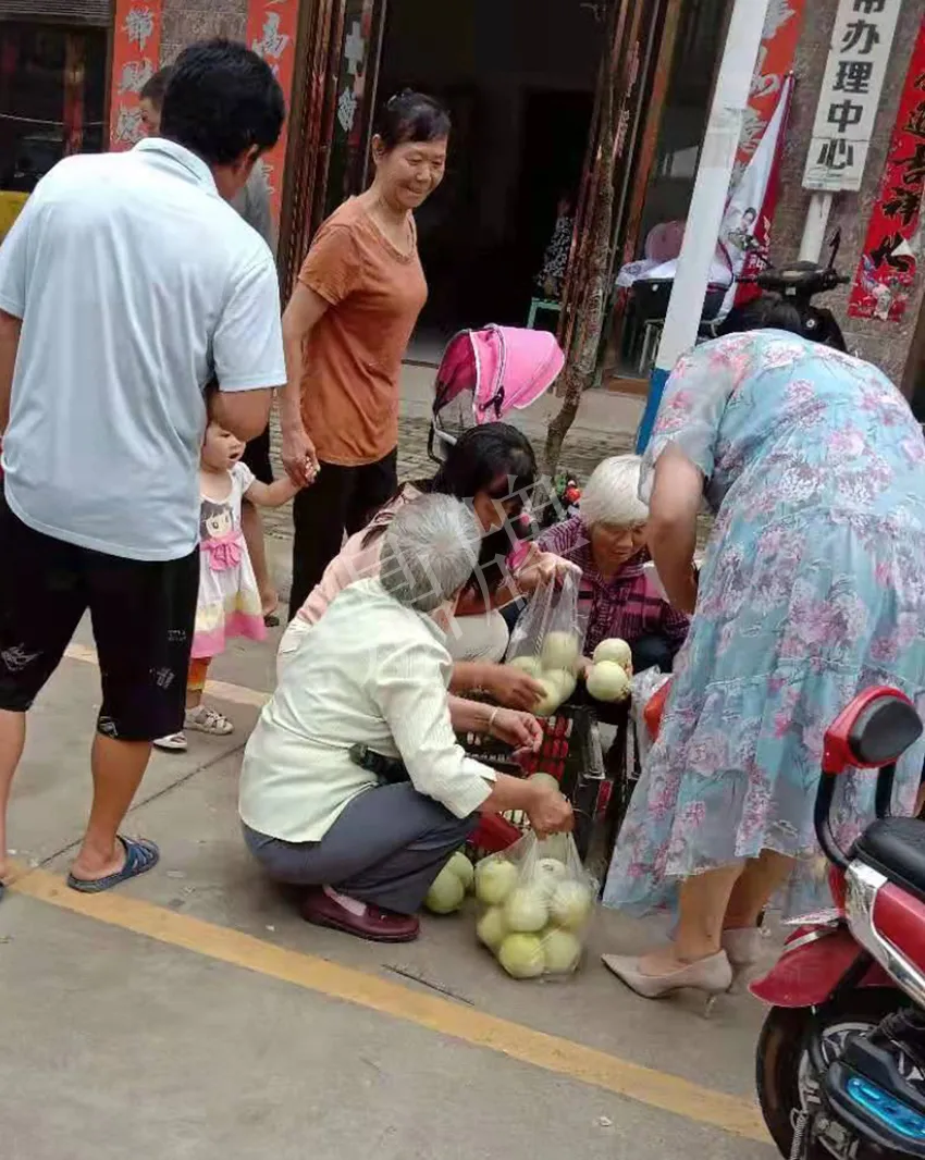 其他品種的甜瓜2塊1斤都賣不動,我的玉奶香2號甜瓜2塊5直接搶