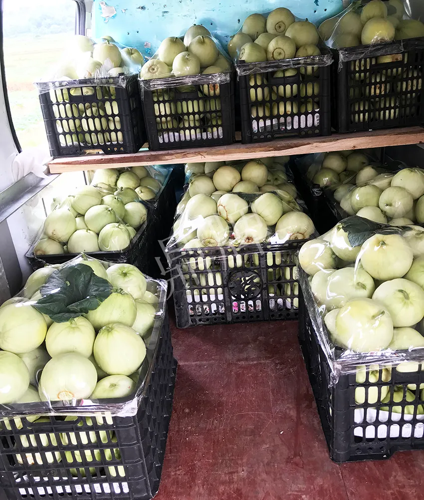 郴州農戶種植新品種,果實又香又甜,很好賣